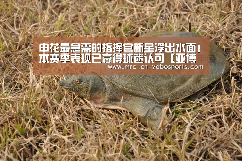 亚博体育APP下载