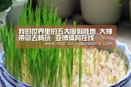 我的世界里的五大度假胜地 大神带你去畅玩-亚博体育在线(图4) 亚博体育官网
